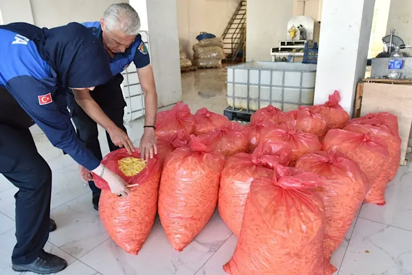 Kepez’de 1,5 ton patates imha edildi