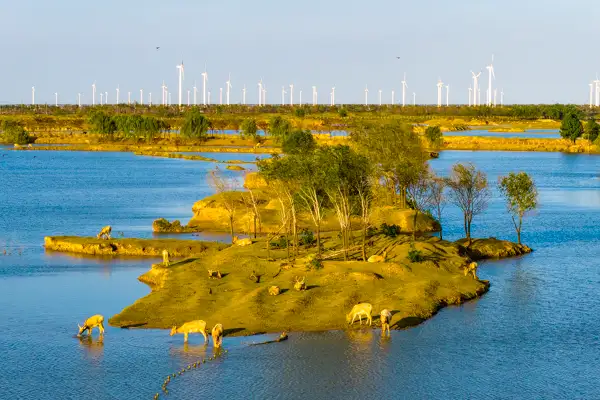CGTN Anketi: İklim yönetişiminde somut adımlar atılmalı