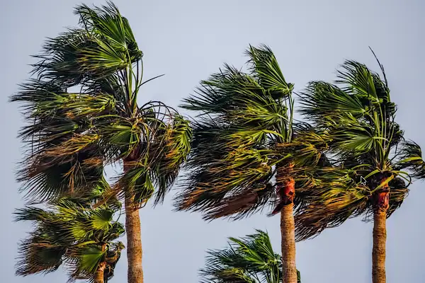 MGM: Marmara ve Kuzey Ege’de kuvvetli rüzgar uyarısı