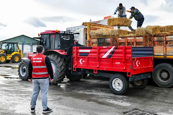 Ankara’da manda yetiştiricilerine kaba yem ve arpa desteği sağlandı