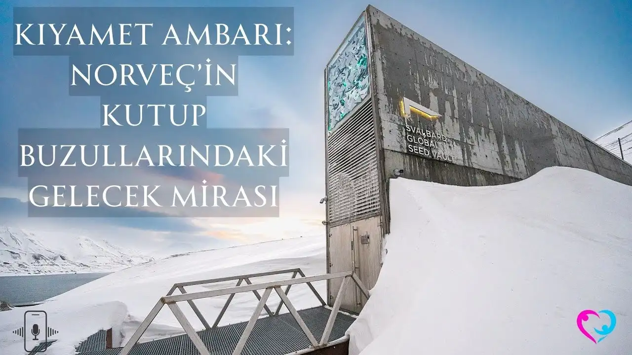  Kıyamet Ambarı: Norveç’in Kutup Buzullarındaki Gelecek Mirası ve Bitki Krallığının Sigortası 